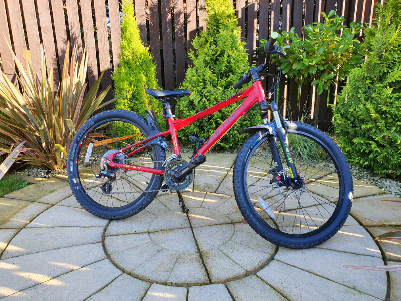 carrera bikes for sale junior